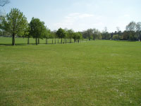 Peckham Rye Peckham Rye