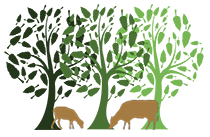 Commons and Greens